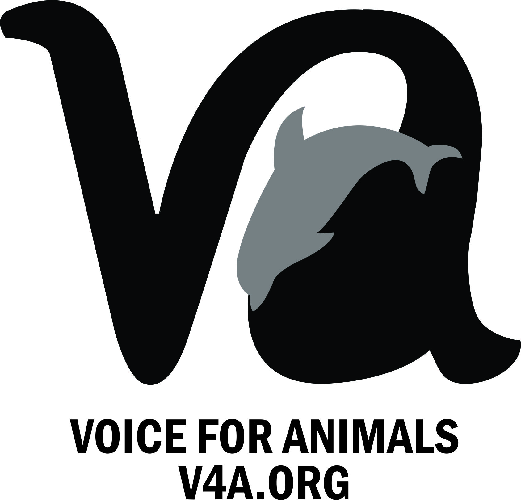 Voice 4 Animals